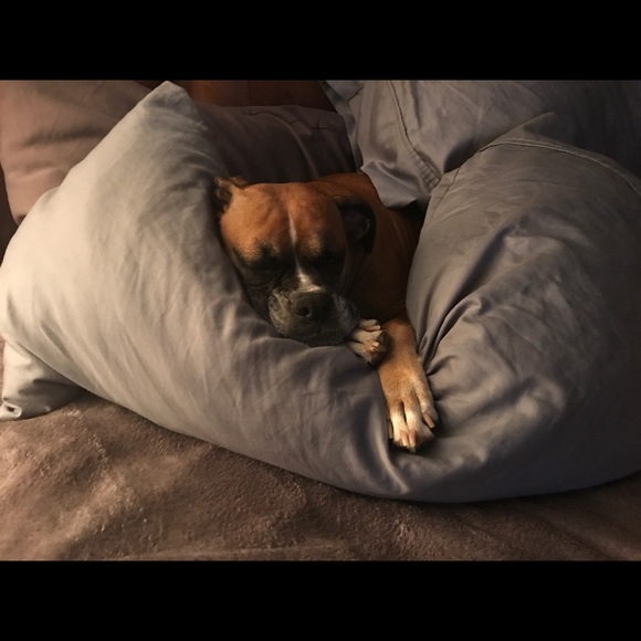 Meet your Posher, Gina - Picture 1 of 1